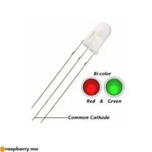 LED 5 mm 2 couleurs rouge vert