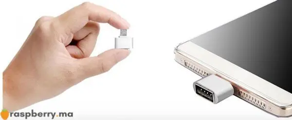 Adaptateur Micro USB à USB 4