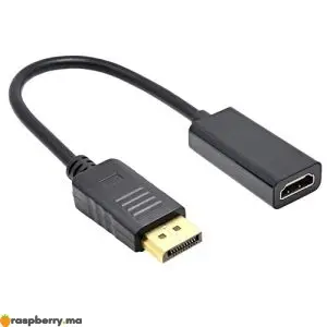 Adaptateur-DisplayPort-vers-HDMI-1