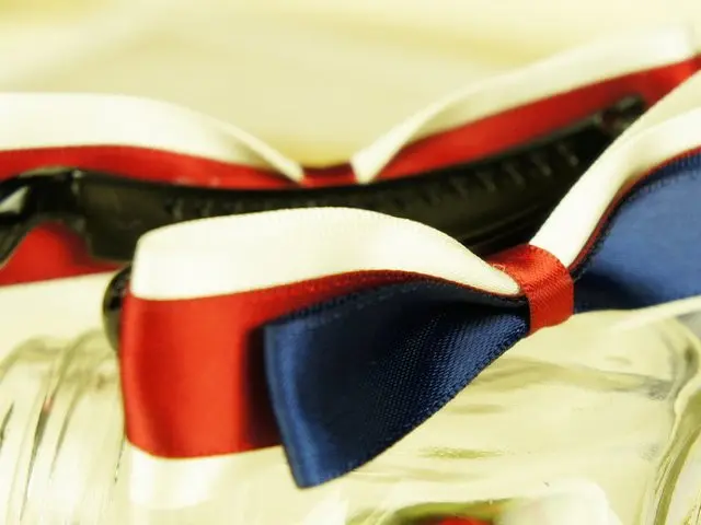 Pince à cheveux en plastique noir