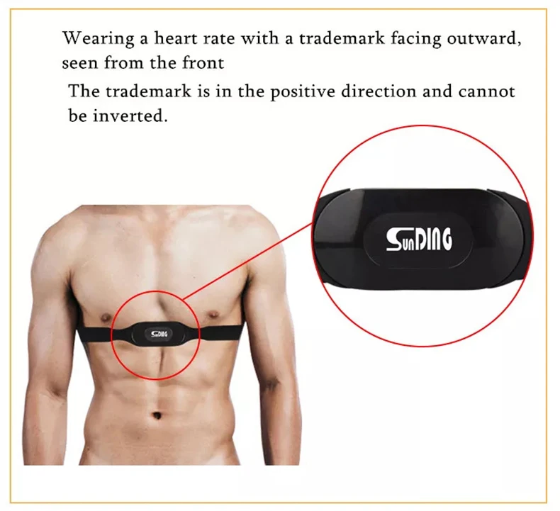 Port Correct étapes