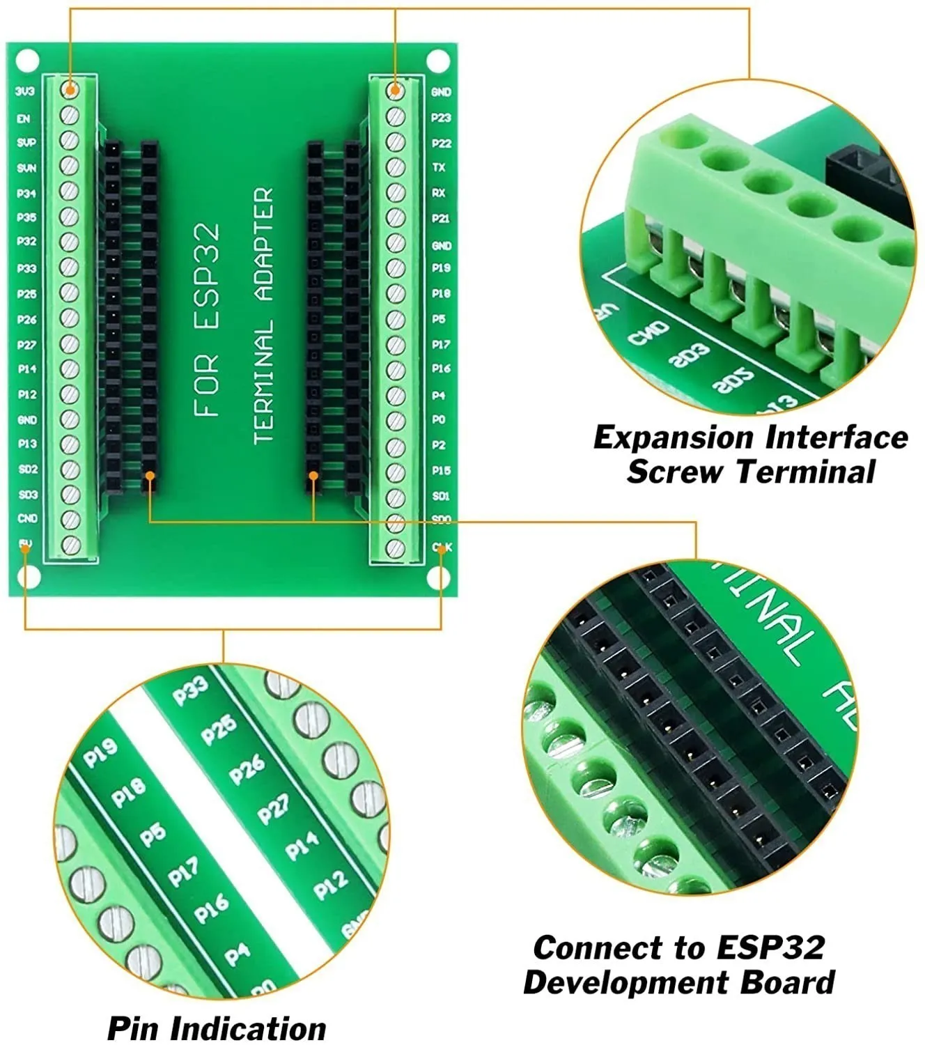 Esp 32